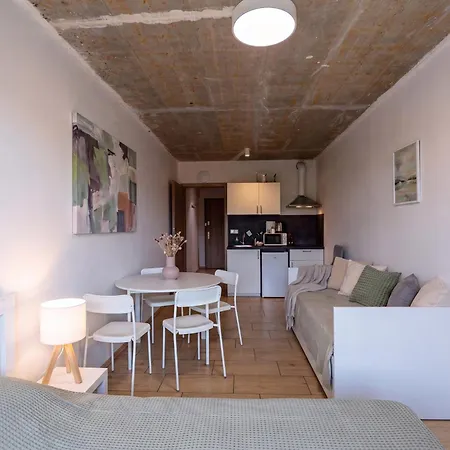 公寓 Brand New Penthouse #37 Near Center With Free Parking