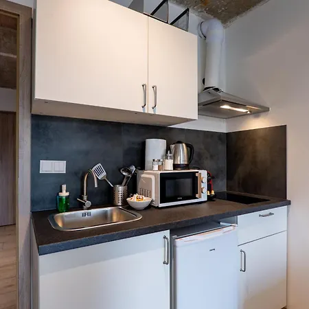 Brand New Penthouse #37 Near Center With Free Parking